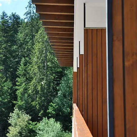 Historique Chez Elsy - Crans-sapins Hotel Crans-Montana
